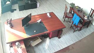 IPCAM 여자 회사대표 직원과 사장방에서 불륜 2 (12)