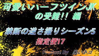 可愛いハーフツイン JKの受難!!編　禁断の逆さ撮りシーズン5　指定便17 voyeur jp