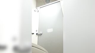 Toilet Voyeur sifangktv 1040 ipcam (1)