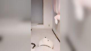 시연 ★ [올노] 팬방 4V 모음_딜도자위 korean porn vip (4)