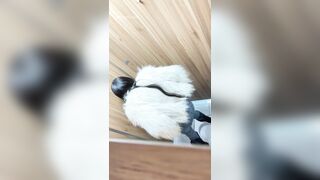トイレ盗撮の達人がオフィスビルの女子トイレに潜入 ❤️ 超一流「スカートの中」映像：大学院生インターンのピンクのマンコをドアップで激写 toilet 03-290426