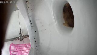 【最高画質トイレショット】大学寮シリーズ：排便アルバム - 15時間、女子学生200人以上 toilet 3 01-150526