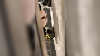 Toilet Voyeur sifangktv 2797-2799 1 (13)